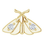 Single Earring Flutter- Solid Gold Luna Moth Earring